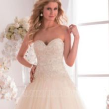 Image for Mr. Tuxedo & Bridal with ID of: 2224239