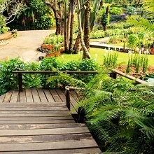 Image for Scarlet Oaks Wholesale Nursery with ID of: 2224625