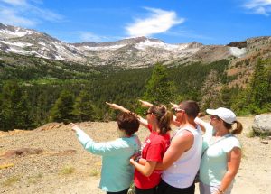 Image for Premier Yosemite Private Tours LLC with ID of: 2225022