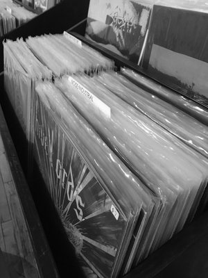 Image for Skeleton Dust Records with ID of: 2228281