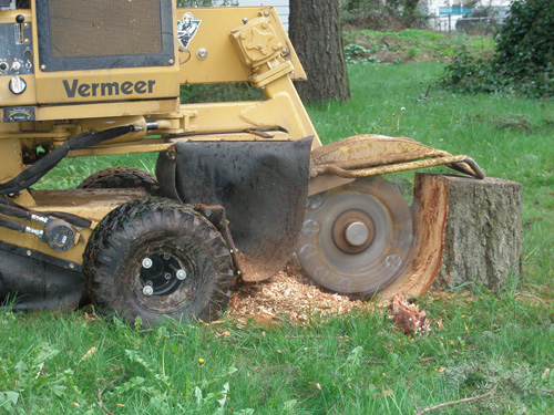 Image for Tree Removal Mandeville | Mandeville Tree Removal with ID of: 2229057