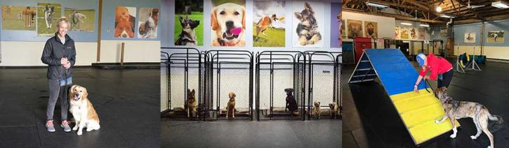 Image for K9 University Chicago with ID of: 2229985