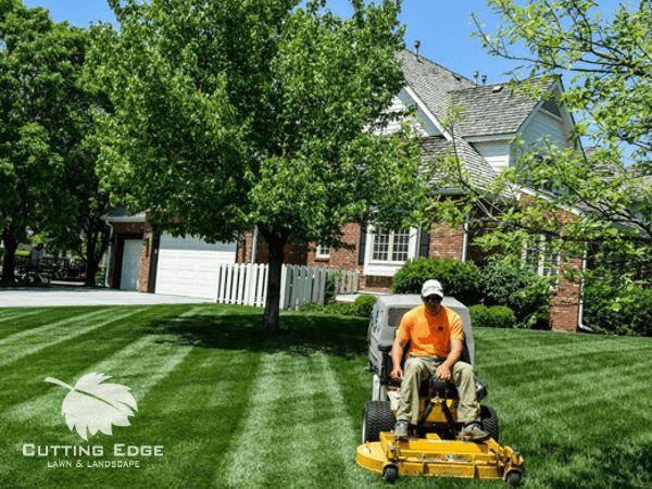 Image for Cutting Edge Lawn & Landscape with ID of: 2234551