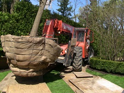 Image for Urban Arborist with ID of: 2234596