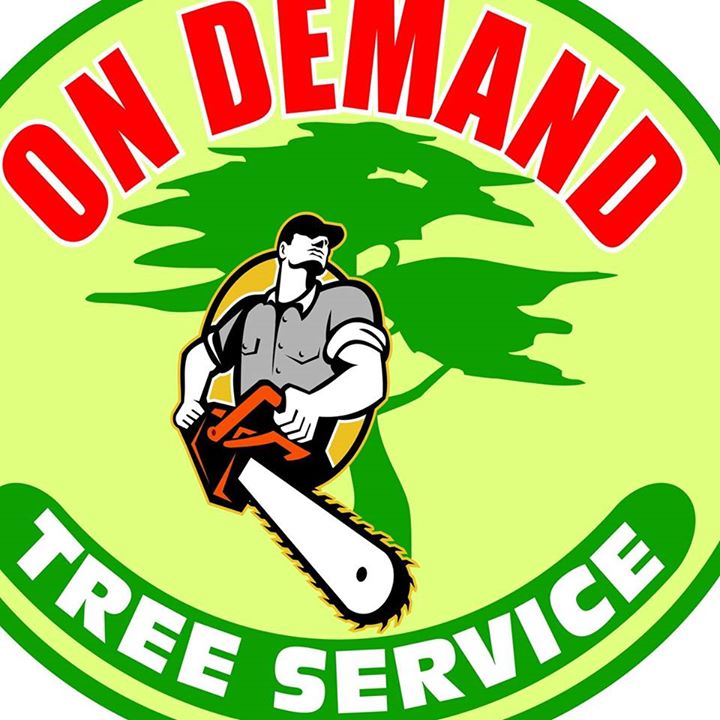 Image for On Demand Tree Service with ID of: 2235494