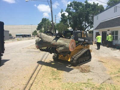 Image for On Demand Tree Service with ID of: 2235504