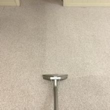 Image for Proteck Carpet & Tile Cleaning with ID of: 2237213