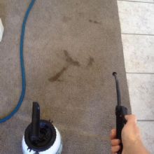 Image for Proteck Carpet & Tile Cleaning with ID of: 2237215