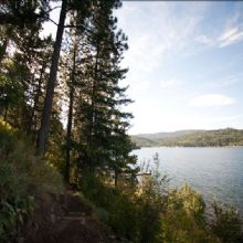 Image for Lakefront Property Management with ID of: 2237802