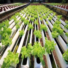 Image for Truckee Horticulture Center with ID of: 2238517