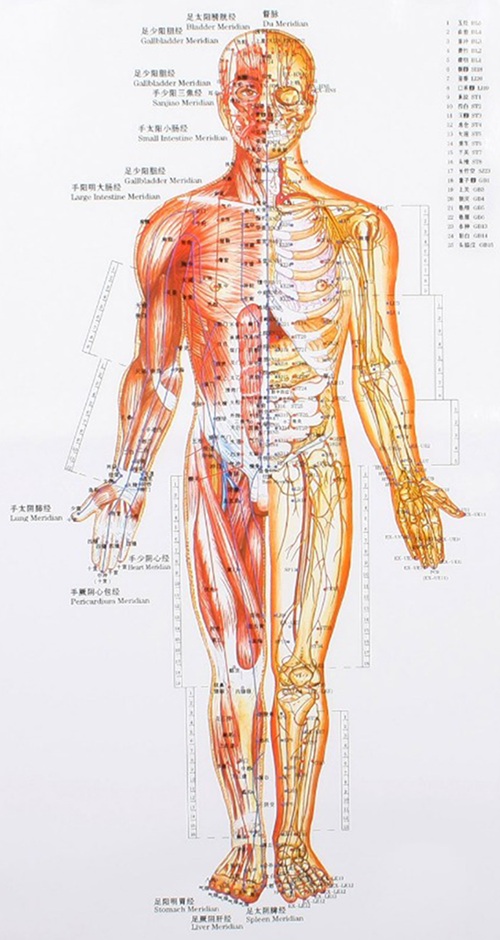 Image for Peterson Acupuncture Center, LLC with ID of: 2239199