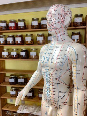 Image for Peterson Acupuncture Center, LLC with ID of: 2239203