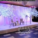 Image for Exquisite Affairs Wedding & Event Design with ID of: 2240575