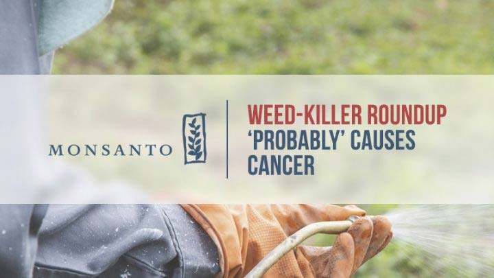 Image for MONSANTO ROUNDUP LAWSUITS with ID of: 2242518