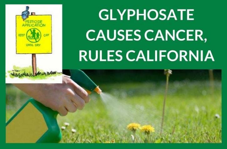 Image for MONSANTO ROUNDUP LAWSUITS with ID of: 2242519