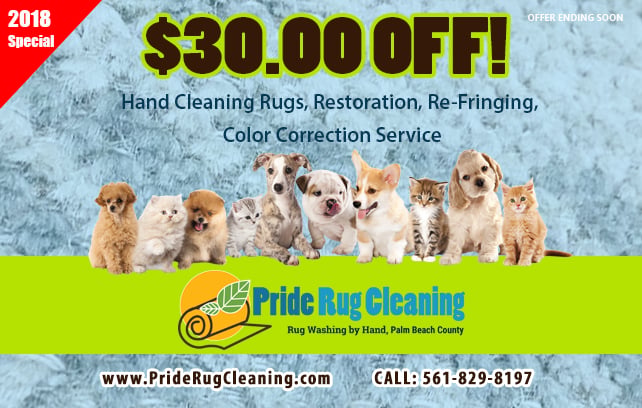 Image for Pride Oriental Rug Cleaning Coupon with ID of: 2242749