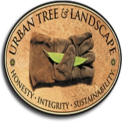 Image for Urban Tree & Landscape with ID of: 2243284