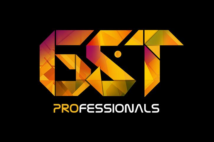 Image for Gst professionals with ID of: 2243661