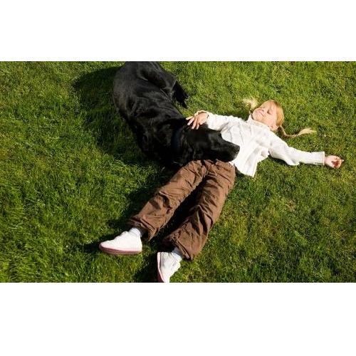 Image for 10X Turf Lawn Care Services with ID of: 2244073
