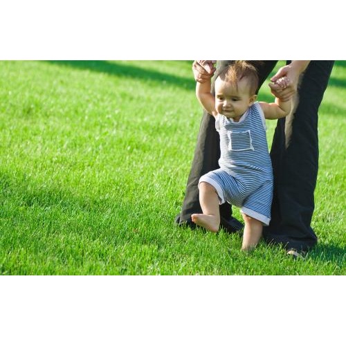 Image for 10X Turf Lawn Care Services with ID of: 2244074