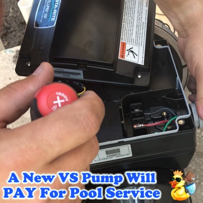 Image for Chlorine King Pool Service with ID of: 2245050