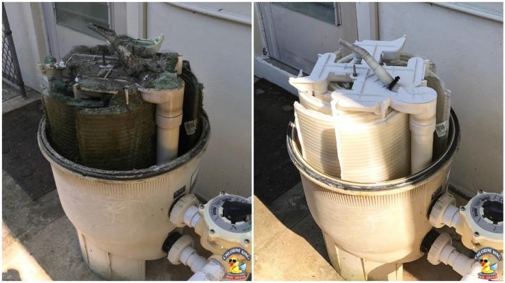Image for Chlorine King Pool Service with ID of: 2245053