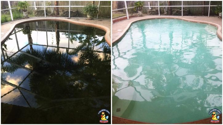 Image for Chlorine King Pool Service with ID of: 2245055