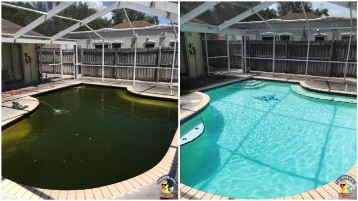 Image for Chlorine King Pool Service with ID of: 2245056
