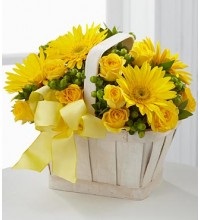 Image for Funeral Flowers Delivery with ID of: 2245117