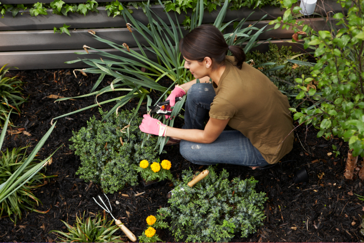 Image for Bucking Landscaping with ID of: 2245692
