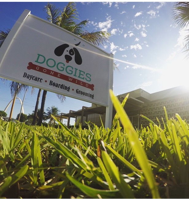 Image for Doggies Gone Wild with ID of: 2245833