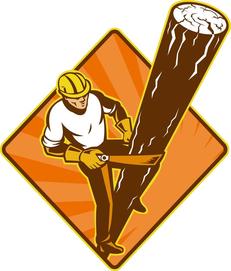 Image for Cape Coral's Tree Service with ID of: 2246205