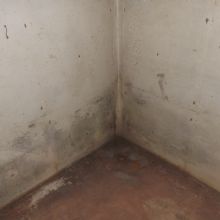 Image for Ron Miller Inspections LLC with ID of: 2247219