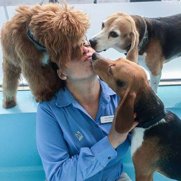 Image for Biscuits & Bath with ID of: 2247986