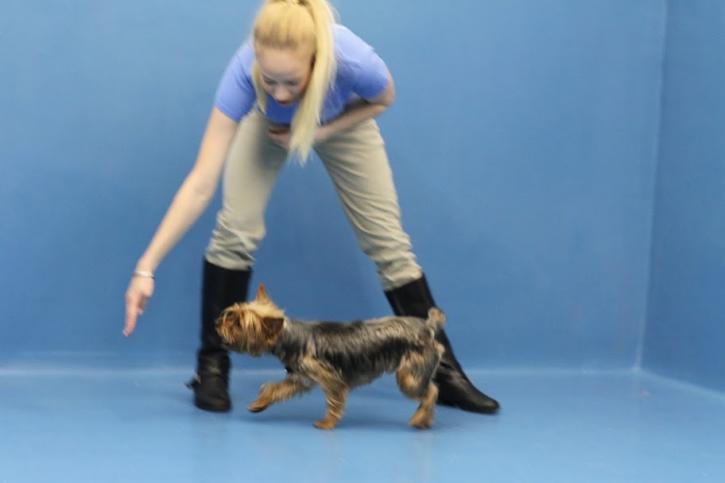 Image for Biscuits & Bath with ID of: 2247991