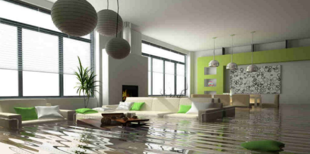 Image for Water Damage Pro Minneapolis with ID of: 2249335