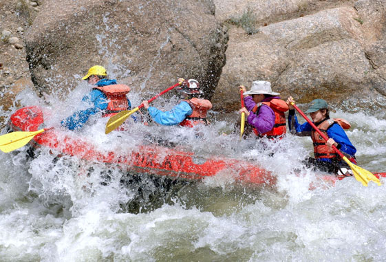 Image for Gorilla Trekking and Rafting with ID of: 2250506