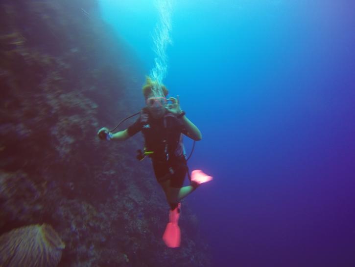 Image for Dive indonesia with ID of: 2250620