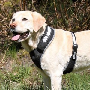 Image for Dog Harnesses with ID of: 2251130