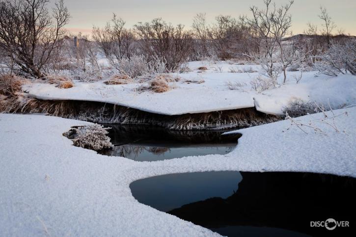 Image for Discover Iceland Tours with ID of: 2251432