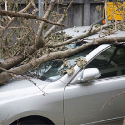 Image for Forsythe Insurance Services with ID of: 2252034