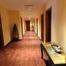 Image for The Phoenix Eastern Medicine Center with ID of: 2252758