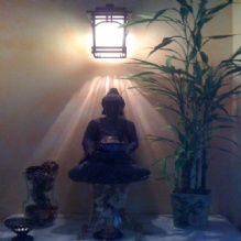 Image for The Phoenix Eastern Medicine Center with ID of: 2252761