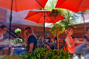 Image for Restaurant With Private Rooms with ID of: 2255908