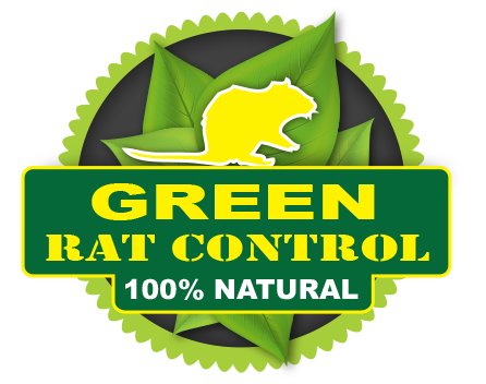 Image for Green Rat Control with ID of: 2256222