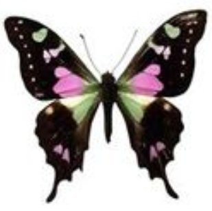 Image for ATG Boutique with ID of: 2257704