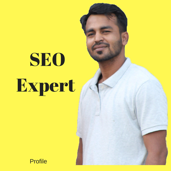Image for SEO Expert with ID of: 2258075