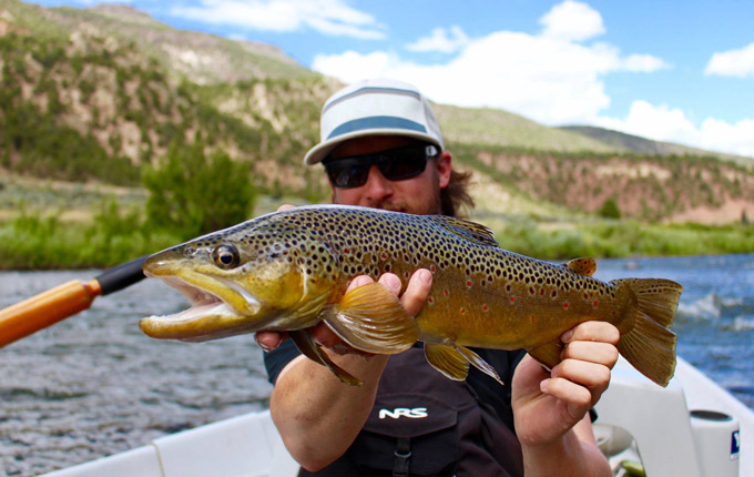 Image for Cutthroat Anglers with ID of: 2258816