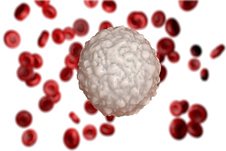 Image for Stem Cell  and PRP Injections with ID of: 2258952