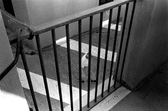 Image for Documentary Photography with ID of: 2259